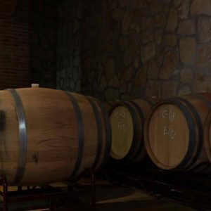 The Cellar and the Wines